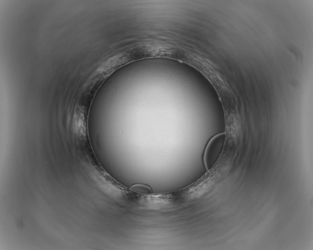 X0000110910622200906181344