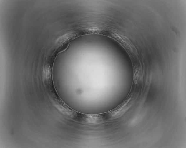 X0000110910623200906181344