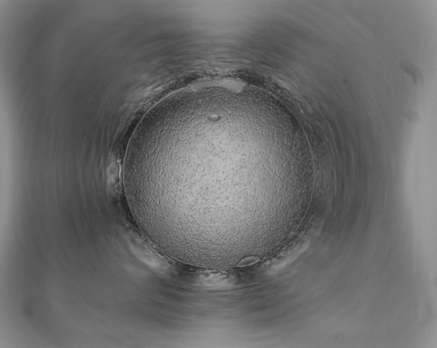 X0000110910624200906181344