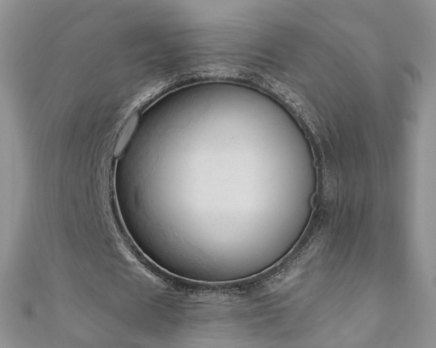 X0000110910625200906181343