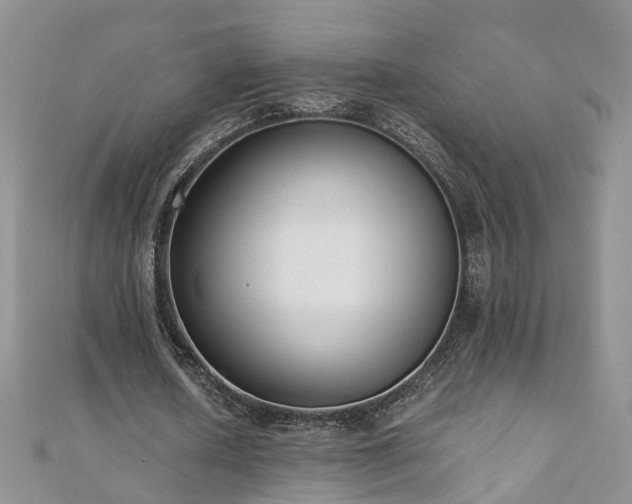 X0000110910626200906181343