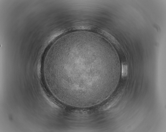 X0000110910627200906181344