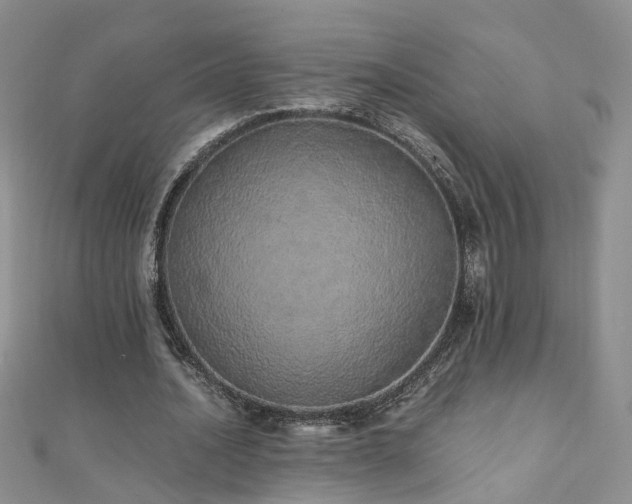 X0000110910628200906181344