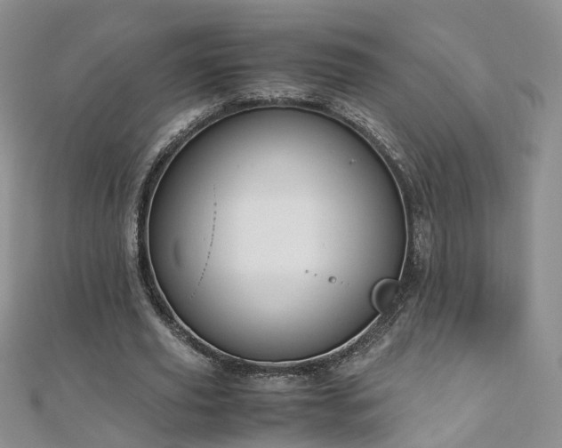 X0000110910629200906181344