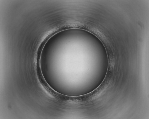 X0000110910630200906181344