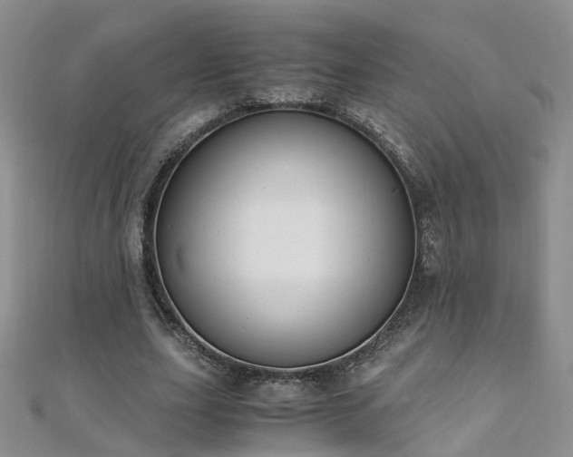 X0000110910631200906181344