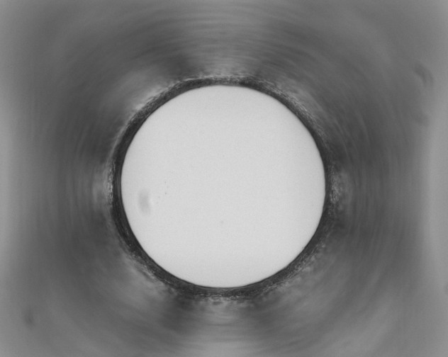 X0000110910632200906181344