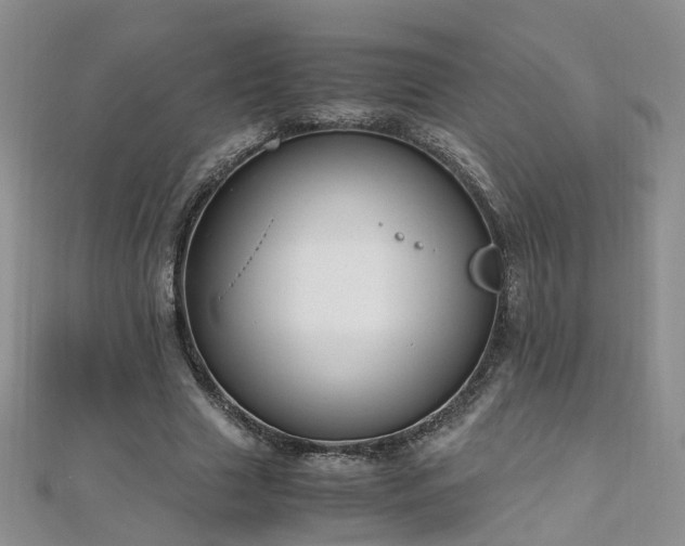 X0000110910633200906181344