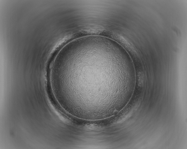 X0000110910634200906181344