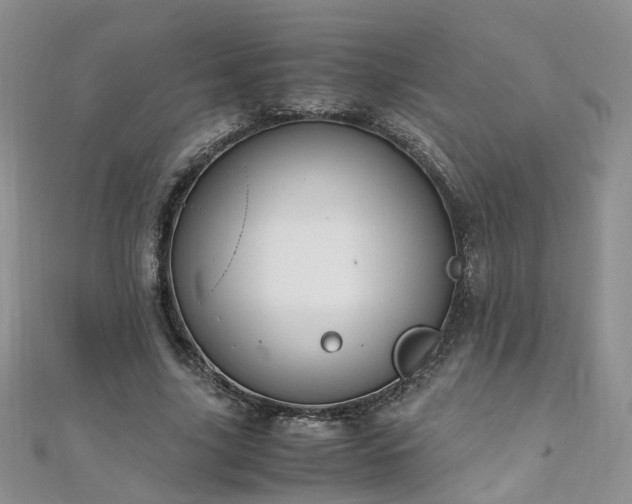 X0000110910635200906181344