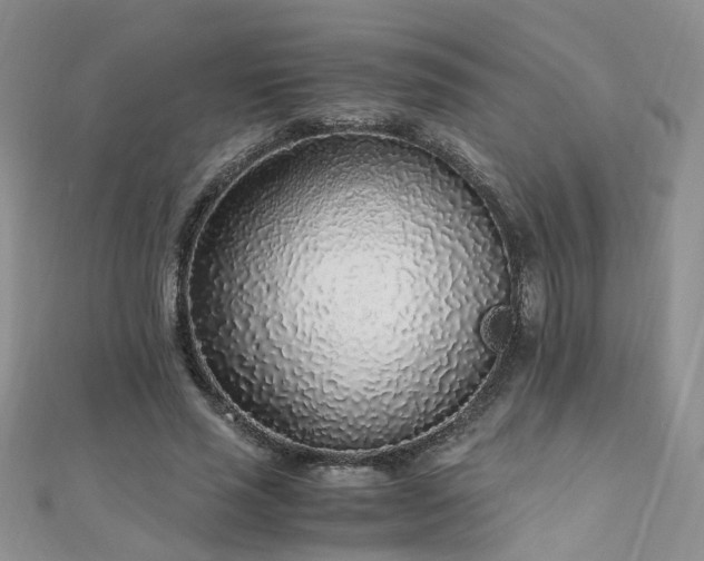 X0000110910637200906181344