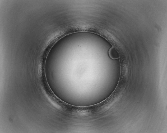 X0000110910638200906181344