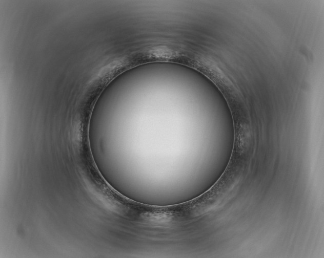 X0000110910639200906181344