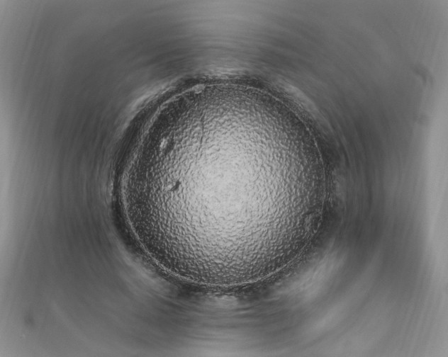 X0000110910640200906181344