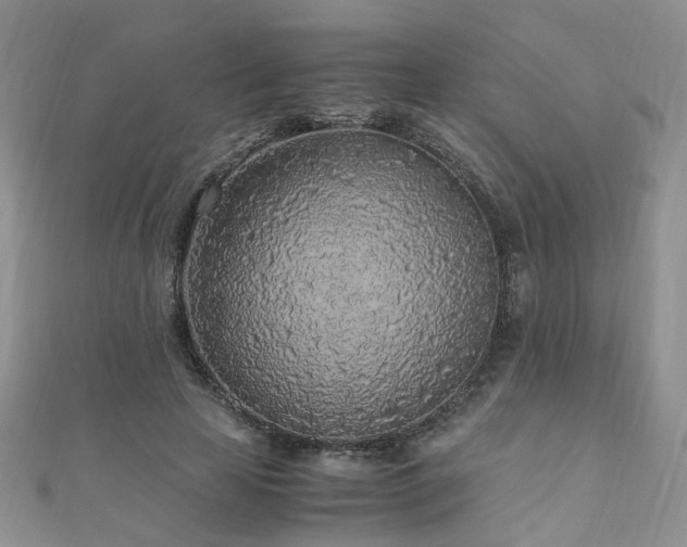 X0000110910641200906181344