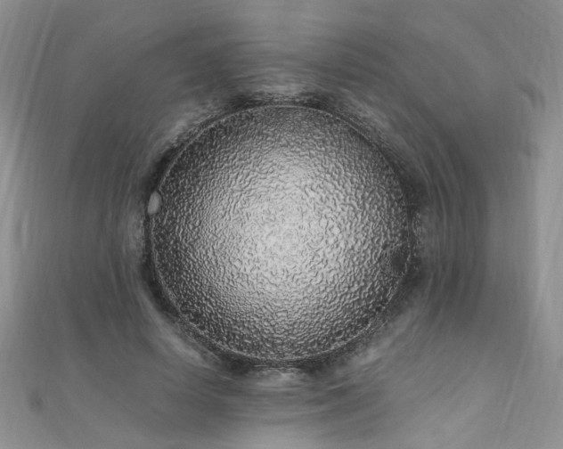 X0000110910642200906181344