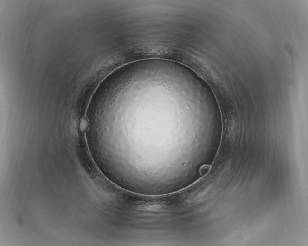 X0000110910643200906181344