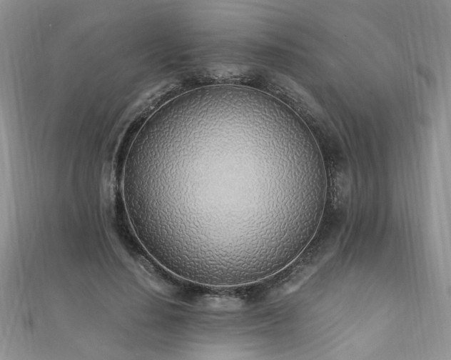 X0000110910644200906181344