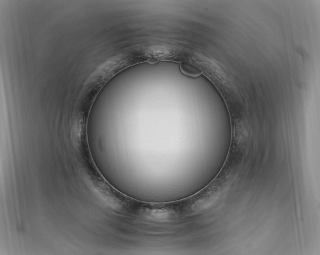 X0000110910645200906181344