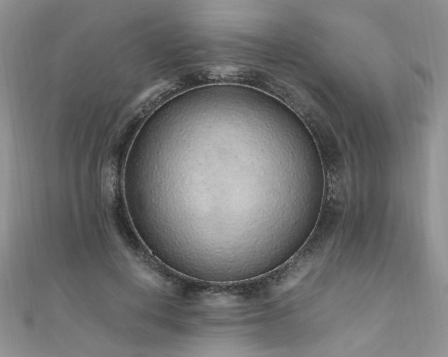 X0000110910648200906181344