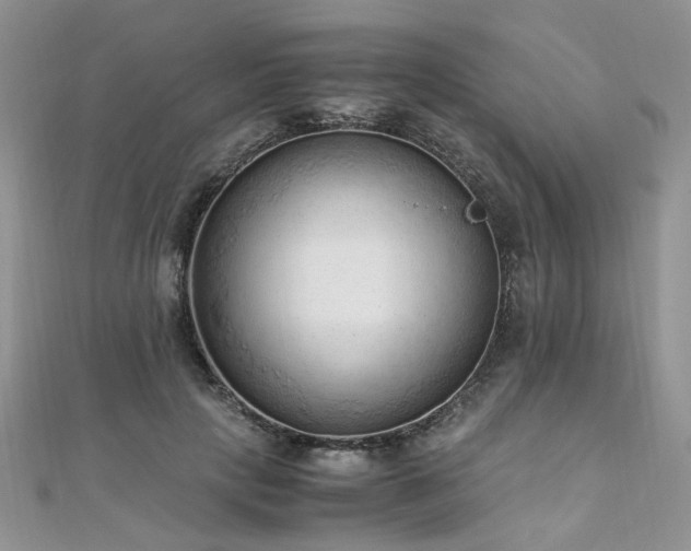 X0000110910649200906181344