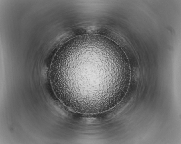 X0000110910650200906181344