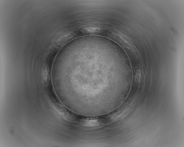 X0000110910651200906181344