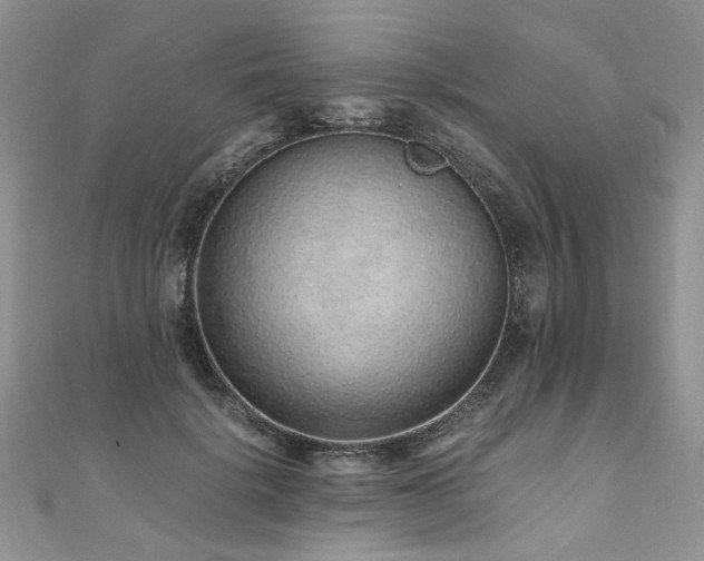 X0000110910652200906181344