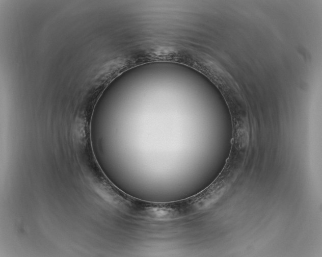 X0000110910654200906181344