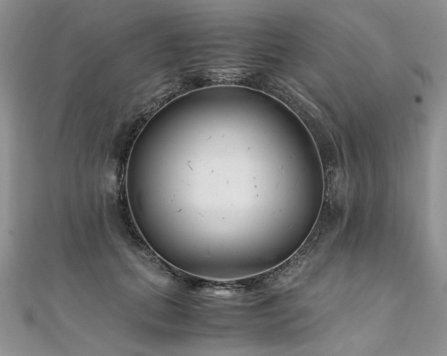 X0000110910655200906181344