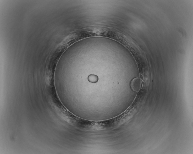 X0000110910656200906181344