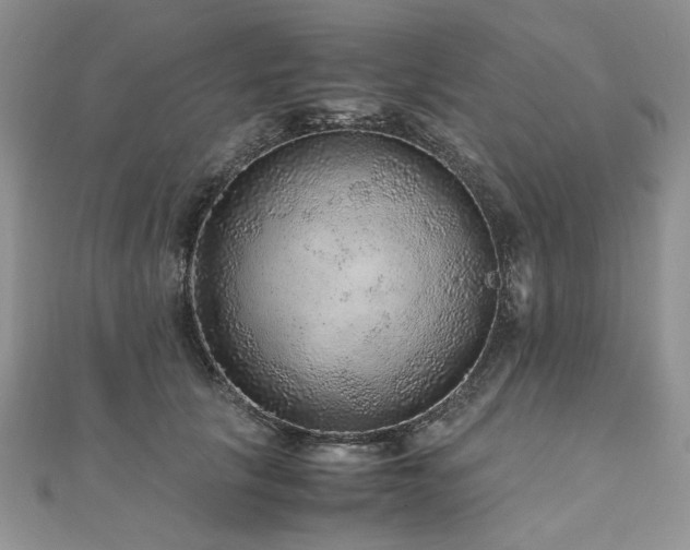 X0000110910657200906181344