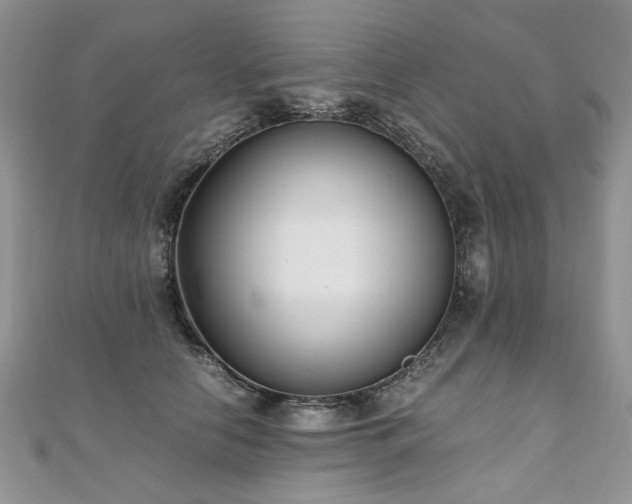 X0000110910658200906181344