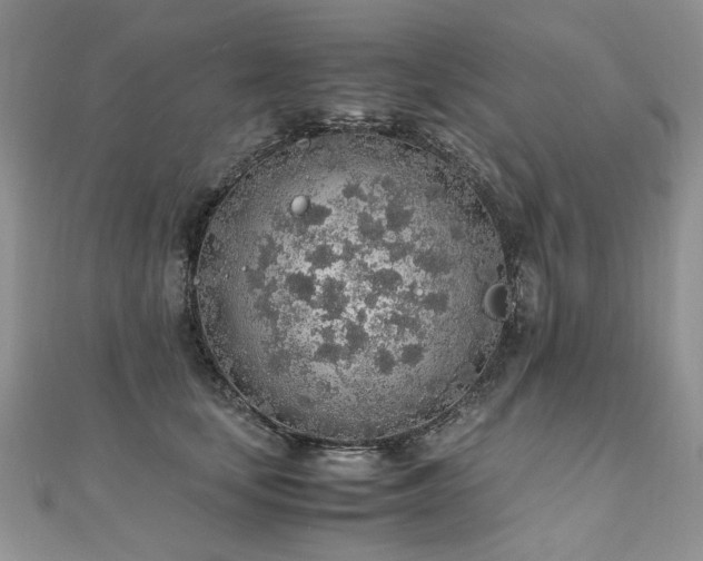 X0000110910659200906181344