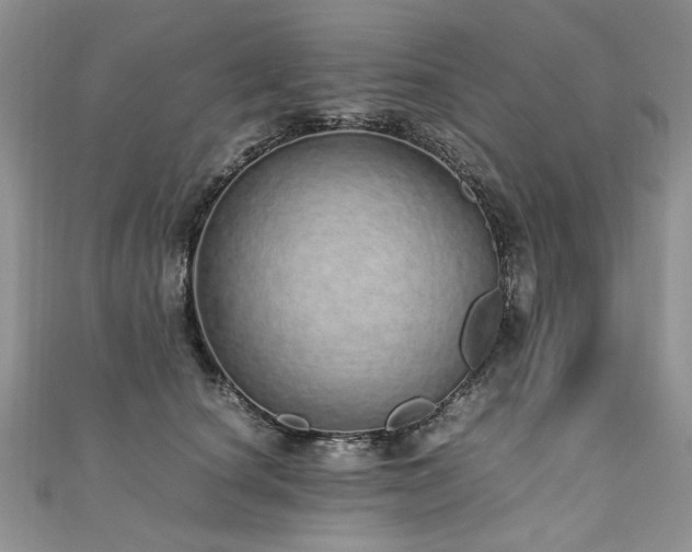 X0000110910660200906181344