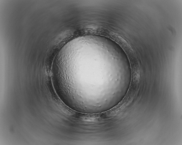 X0000110910661200906181344