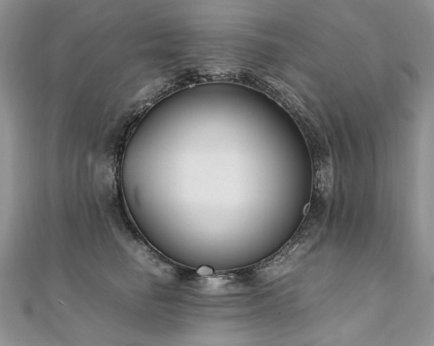 X0000110910662200906181344