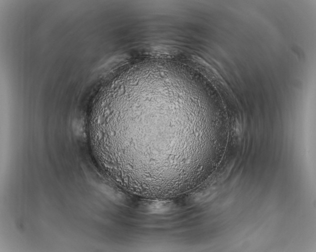 X0000110910663200906181344