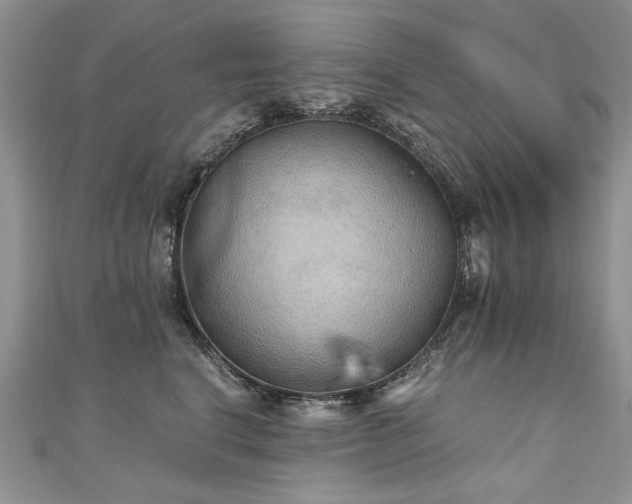 X0000110910664200906181344