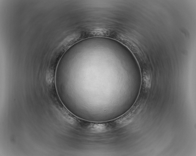 X0000110910665200906181344