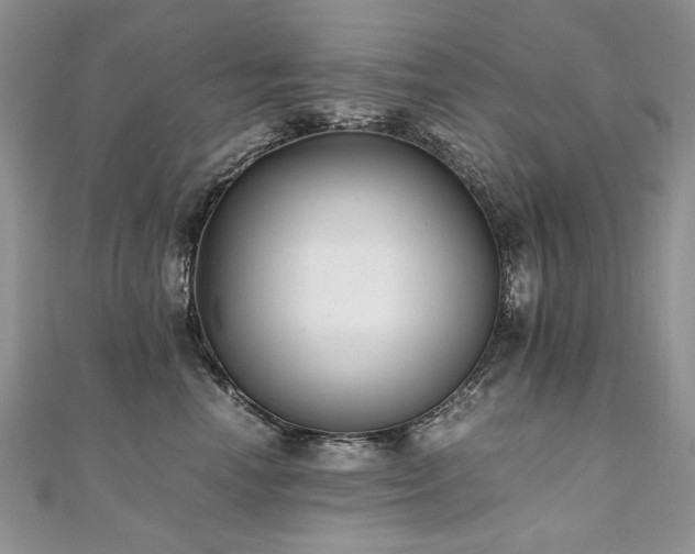 X0000110910666200906181344