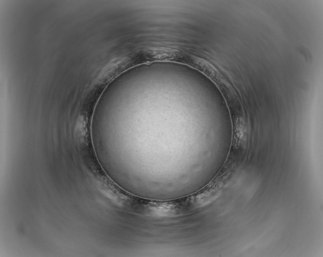 X0000110910667200906181344