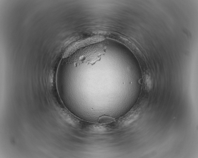 X0000110910668200906181344