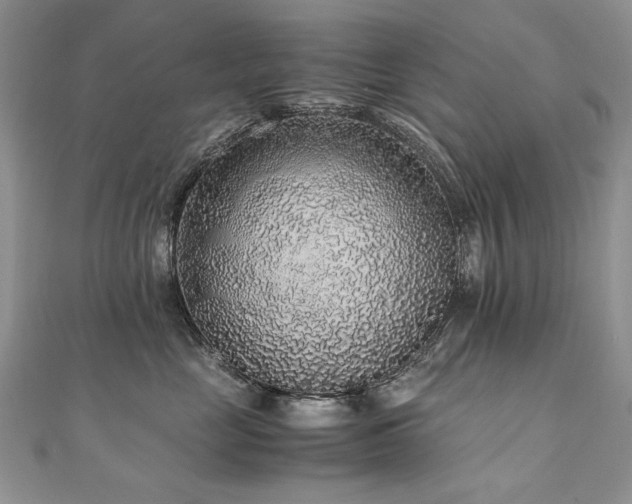 X0000110910669200906181344