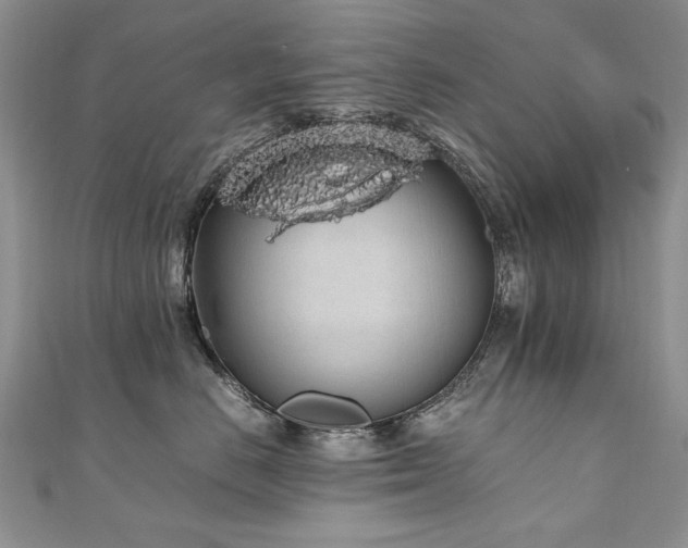 X0000110910670200906181344