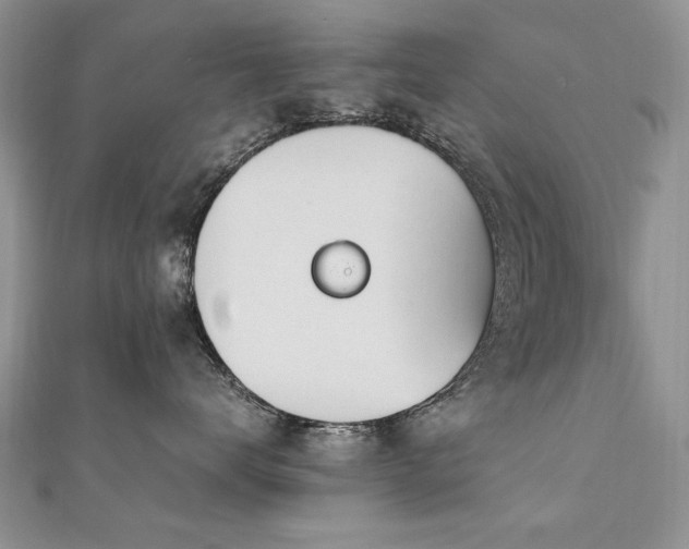 X0000110910672200906181344