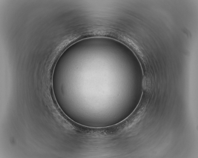 X0000110910673200906181343