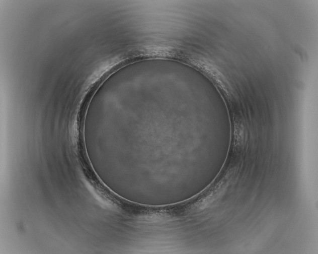 X0000110910674200906181343