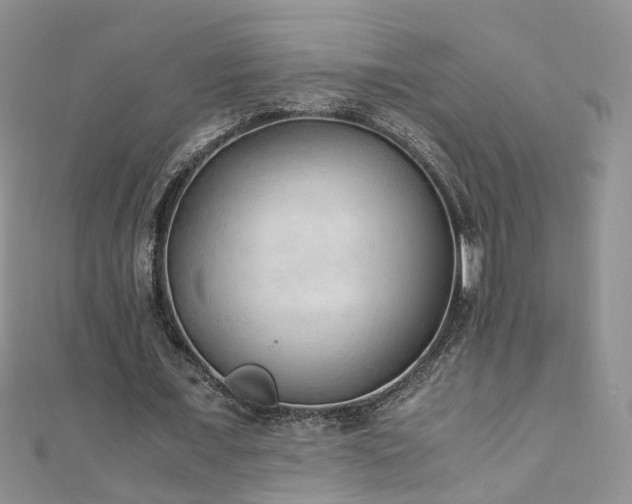 X0000110910675200906181343