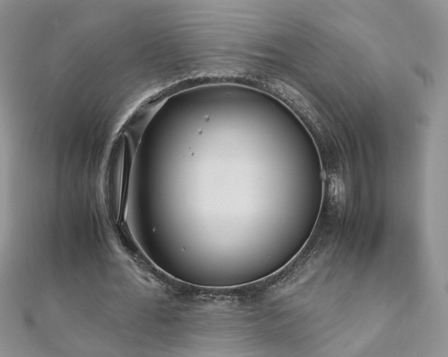 X0000110910676200906181343